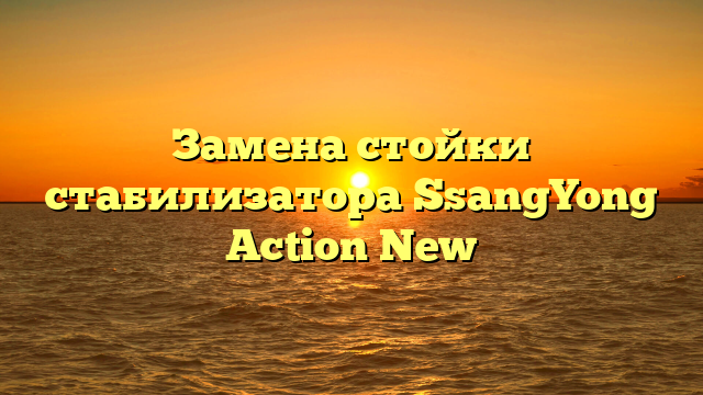 Замена стойки стабилизатора SsangYong Action New