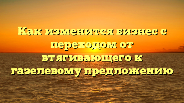 Как изменится бизнес с переходом от втягивающего к газелевому предложению