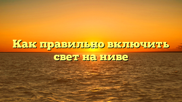 Как правильно включить свет на ниве