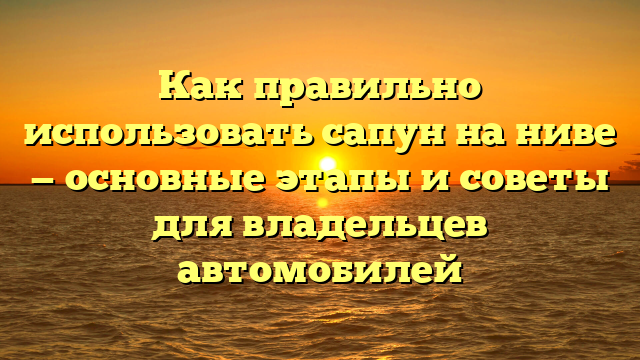 Как правильно использовать сапун на ниве — основные этапы и советы для владельцев автомобилей