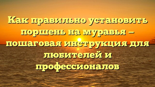 Как правильно установить поршень на муравья — пошаговая инструкция для любителей и профессионалов