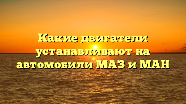 Какие двигатели устанавливают на автомобили МАЗ и МАН