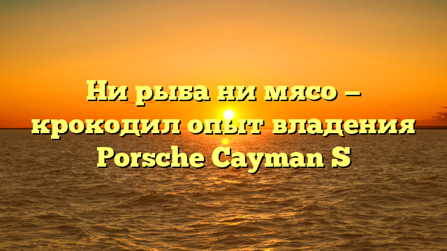 Ни рыба ни мясо — крокодил опыт владения Porsche Cayman S