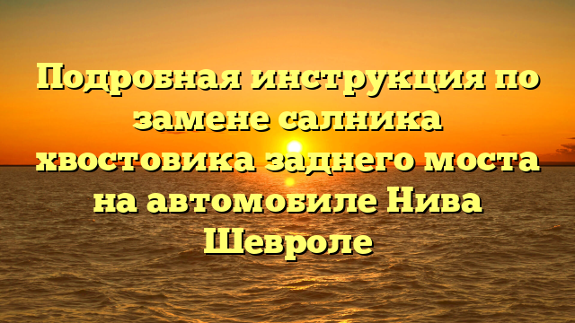 Подробная инструкция по замене салника хвостовика заднего моста на автомобиле Нива Шевроле