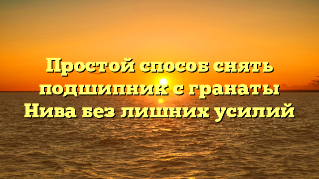 Простой способ снять подшипник с гранаты Нива без лишних усилий