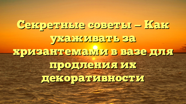 Секретные советы — Как ухаживать за хризантемами в вазе для продления их декоративности