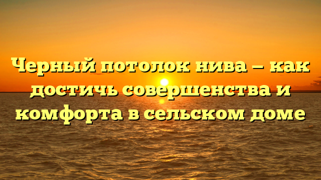 Черный потолок нива — как достичь совершенства и комфорта в сельском доме