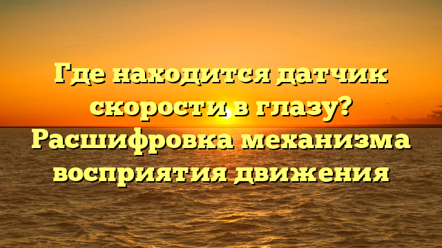 Где находится датчик скорости в глазу? Расшифровка механизма восприятия движения