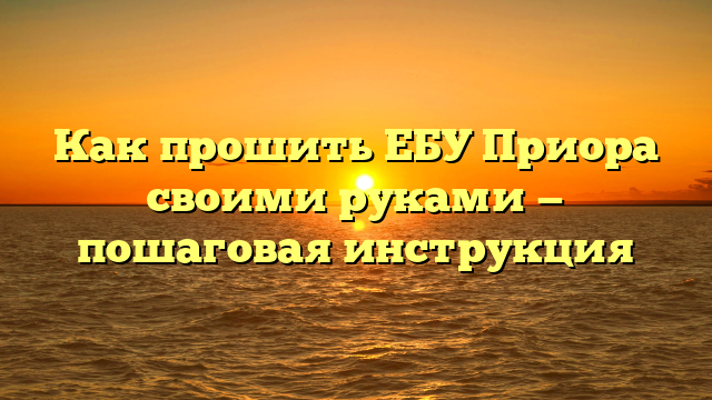 Как прошить ЕБУ Приора своими руками — пошаговая инструкция