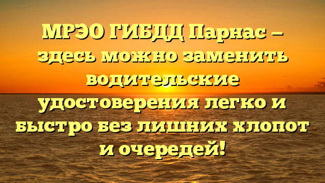 МРЭО ГИБДД Парнас — здесь можно заменить водительские удостоверения легко и быстро без лишних хлопот и очередей!