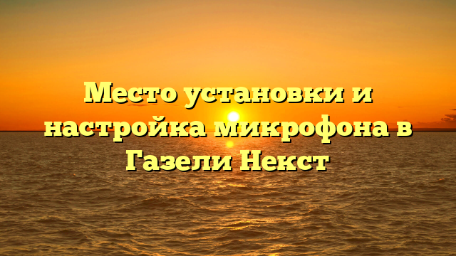 Место установки и настройка микрофона в Газели Некст