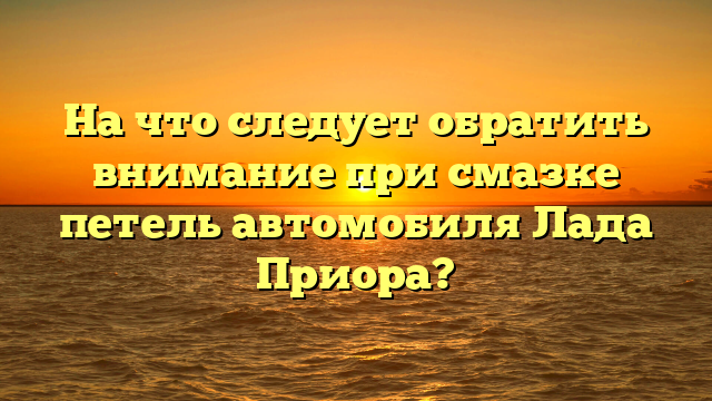 На что следует обратить внимание при смазке петель автомобиля Лада Приора?