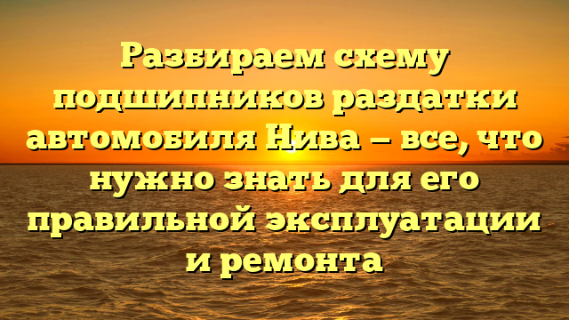 Разбираем схему подшипников раздатки автомобиля Нива — все, что нужно знать для его правильной эксплуатации и ремонта