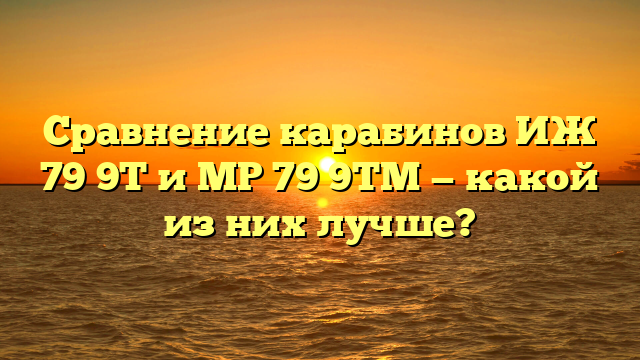 Сравнение карабинов ИЖ 79 9Т и МР 79 9ТМ — какой из них лучше?