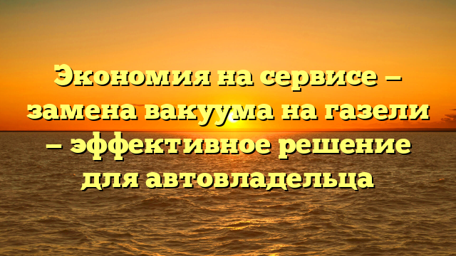 Экономия на сервисе — замена вакуума на газели — эффективное решение для автовладельца