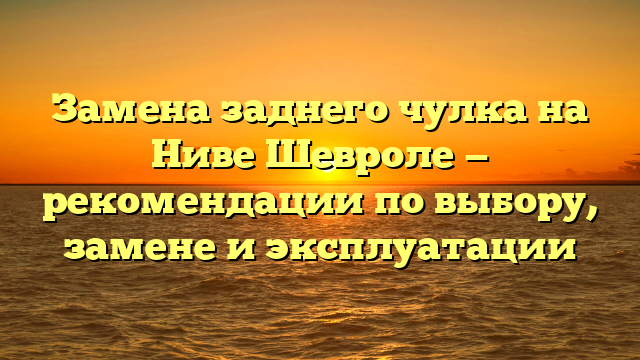 Замена заднего чулка на Ниве Шевроле — рекомендации по выбору, замене и эксплуатации