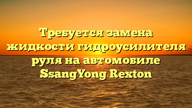 Требуется замена жидкости гидроусилителя руля на автомобиле SsangYong Rexton